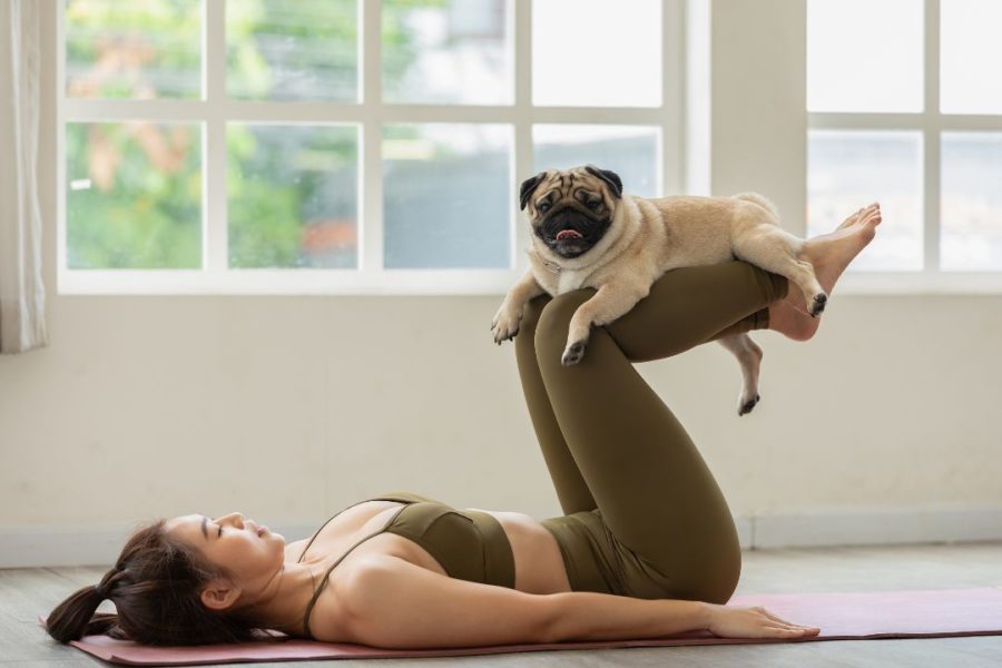 Une jeune pratiquante de yoga avec son chien sur les jambes.